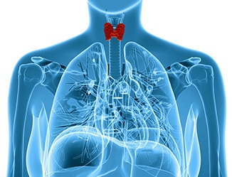 Thyroid Location